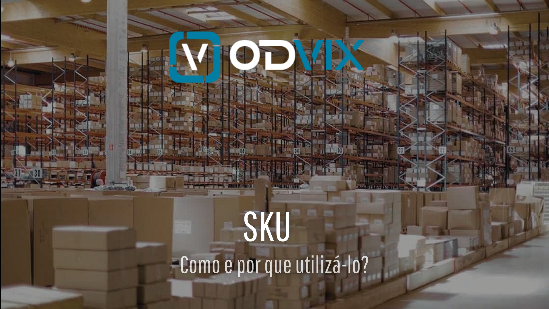 SKU: O que é? Qual seu uso no gerenciamento de estoque?